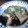 mit33's cooksnap of when they made ぶりの煮付け.