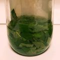 ごにょ's cooksnap of when they made えごまの万能ビネガー.