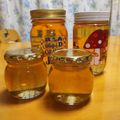 ネージュ's cooksnap of when they made 梅ジュース！一日で飲めちゃう！.