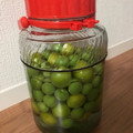 ちるりん☺'s cooksnap of when they made ✨お手軽✨、らっきょう酢で、簡単梅漬け.