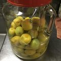 クック6W99WR☆'s cooksnap of when they made お手軽に梅干し.