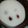 クックBNQ5PD☆'s cooksnap of when they made ドライフルーツで簡単！フルーツヨーグルト.