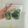 Ery7's cooksnap of when they made 葉物野菜の冷凍保存。一人暮らしの自炊に。.