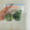 Ery7's cooksnap of when they made 葉物野菜の冷凍保存。一人暮らしの自炊に。.