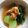 ゆるるも's cooksnap of when they made うすあげとチンゲン菜のオイスターソース煮.