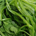 しずしずしずか's cooksnap of when they made ほうれん草のゆで方.