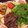 みほたる's cooksnap of when they made 牛肉のオイスターソース炒め　レタス包み.