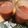 夕飯は６時です's cooksnap of when they made ★簡単!トマトのすりおろしスープ★.