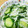 max4995's cooksnap of when they made 速攻・簡単＊大根ときゅうりの浅漬け＊.