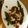 クックTXLO0V☆'s cooksnap of when they made ハモの湯引き・梅肉ダレ☆京都の夏の味覚.