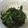 ひものと仲間たち's cooksnap of when they made ほうれん草の胡麻和え☆.