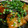 クックWC2YXP☆'s cooksnap of when they made *＊鶏ももと厚揚げの名古屋手羽先風＊*.