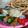 ちびゴン太's cooksnap of when they made キャラ弁に◎餃子の皮deキャンディー◎.