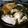 J・0505's cooksnap of when they made 簡単！ すき焼きのタレで牛のすき煮.