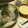 クックあこ's cooksnap of when they made 冷やしとろろ蕎麦.