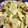 クックトモチ's cooksnap of when they made 鶏むね肉とキャベツのごま味噌炒め.