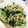 さしすせそ☆'s cooksnap of when they made 春菊とツナの和えもの.