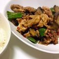 あいまるち's cooksnap of when they made なす豚肉味噌炒めのご馳走.