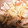 エミプゥ〜's cooksnap of when they made 簡単！大根と鶏肉の煮付け.