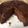 ごごんた's cooksnap of when they made 炊飯器でチョコバナナケーキ.