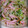 1児mamaちゃん's cooksnap of when they made 超簡単 子供が喜ぶ豆苗ともやしのサラダ.