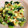 ぽぷりる's cooksnap of when they made とろ〜り★納豆チーズの小松菜炒め.