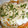 monemaruku's cooksnap of when they made 蒸し鶏＆野菜のネギソースかけ.