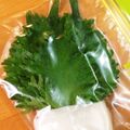ふたごママちゃん's cooksnap of when they made 大葉(しそ)の保存方法☆.
