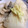 ちゃんこまんさん's cooksnap of when they made ★本田がれいの煮付け★.