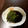 ピコたんママ's cooksnap of when they made ：揚げない、ナスとオクラの煮浸し.