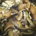RieTamtam's cooksnap of when they made 茄子とがんもどきの煮物.