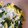 ココキキララ's cooksnap of when they made いんげんの粒マスタードサラダ.