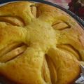 ☆ＨＩＲＯ☆'s cooksnap of when they made ☆見た目ほど難しくないよ！りんごケーキ☆.