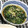 tomkororon's cooksnap of when they made レンジで簡単♪ほうれん草のおひたし.