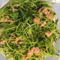 eitamama☆'s cooksnap of when they made 3分で完成！節約★豆苗とツナの中華和え★.