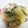 クック26352G☆'s cooksnap of when they made 超楽々 カニかま次郎の野菜卵煮作ります。.