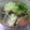 メゾンドカンパ―ニュ's cooksnap of when they made ◆母の味◆ 秋刀魚の酢の物.