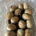 Yokchina's cooksnap of when they made NO.25うずら卵のしょうゆ煮　韓国料理.