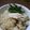 TRTE's cooksnap of when they made さんまの簡単炊き込みごはん.