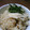 TRTE's cooksnap of when they made さんまの簡単炊き込みごはん.