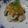 ベルかんタン's cooksnap of when they made 蒸し鶏のタバスコおろし.