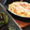 ayammaya's cooksnap of when they made ズッキーニのわさマヨ焼き.