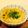 ♡礼♡'s cooksnap of when they made 切干大根リメイク→電子レンジで茶碗蒸し.