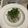 クックO0D1DJ☆'s cooksnap of when they made 豚ひき肉と干しエビのパクチー飯.