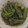 クックQP21M6☆'s cooksnap of when they made シシトウの焼き浸し.