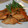 cocotys's cooksnap of when they made ♪鮭の南蛮漬け♪.