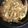 misoさん's cooksnap of when they made パパ大好き♪我が家のカツ丼★.