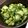 ttt12345's cooksnap of when they made きゅうりの…酢の物？お漬物？.