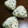 cana226's cooksnap of when they made 鮭フレークとワカメごまのおにぎり 幼児食.
