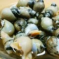 おやまめさん's cooksnap of when they made 【おすすめ】届かぬ味わひ…ばい貝…煮.